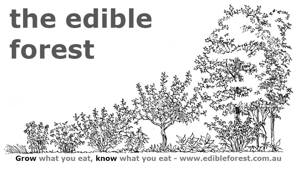 The Edible Forest